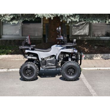 Квадроцикл Rmoto Lion 130 RR - миниатюра 8