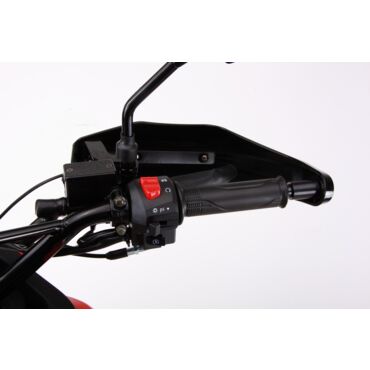 Мотоцикл ROLIZ SPORT 002 YX170FMN 300сс с ПТС - миниатюра 7