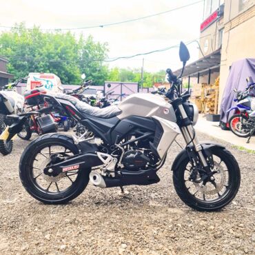 Мотоцикл дорожный Motoland CB 250 (172FMM 5 PR250) - миниатюра 8