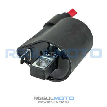 Катушка зажигания со свечным колпачком Regulmoto TE, Sport 003, 250 200GY 5, 4 кл  - миниатюра 1