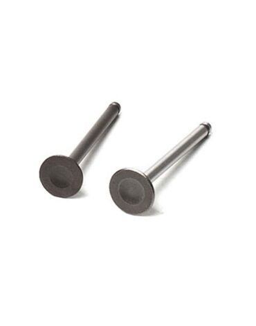 Клапаны (компл. 2шт) 4T 139QMB стандартные d=16 18,5 CN