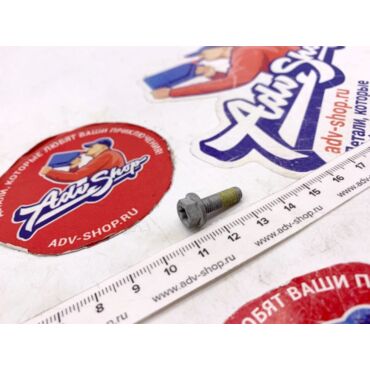 KTM Болт с фиксатором резьбы M5x16 ISA30 SS ( 0025050166S / 0015050163S ) - миниатюра 1