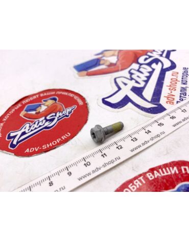 KTM Болт с фиксатором резьбы M5x16 ISA30 SS ( 0025050166S / 0015050163S )