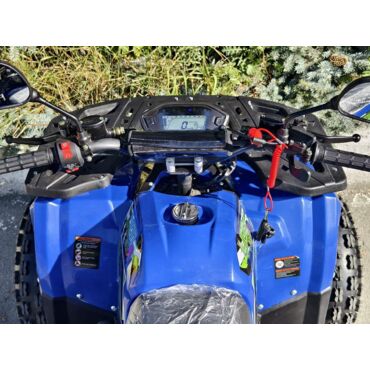 Квадроцикл Rmoto Lion 125 A - миниатюра 10