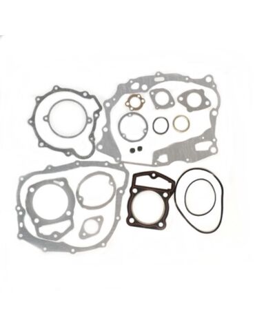Комплект прокладок двигателя ZS CB250D G (воздушный) [ZS 169FMM]