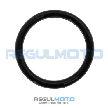 Кольцо уплотнительное 20x2,5 оси шестерни ведомой ZS167FMM 166FML, SK200 6, 200 20,  - миниатюра 1