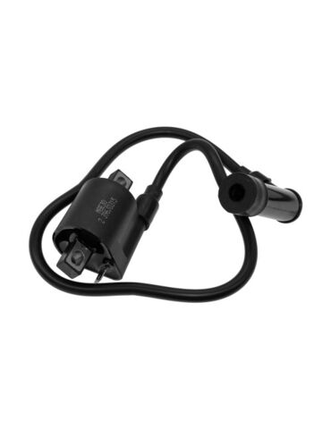 Катушка зажигания со свечным колпачком 172FMM, 170MM 3, 174MN, PR250 50см  