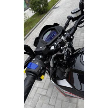 Мотоцикл дорожный SPRMOTORS Forte FH250 Y9 - миниатюра 13