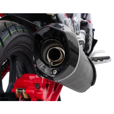 Мотоцикл Regulmoto Raptor New 250 - миниатюра 4