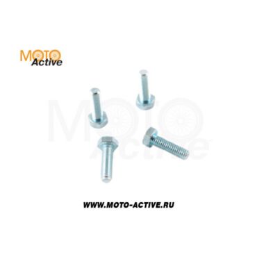 Комплект болтов тормозного диска (4шт.) SM PARTS SM DB08 - миниатюра 1