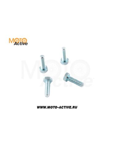 Комплект болтов тормозного диска (4шт.) SM PARTS SM DB08