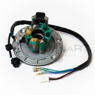 Статор генератора KAYO двиг. ZS155 см3 (P060504) CN - миниатюра 1