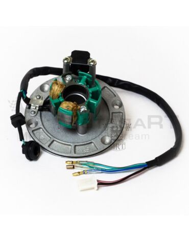Статор генератора KAYO двиг. ZS155 см3 (P060504) CN