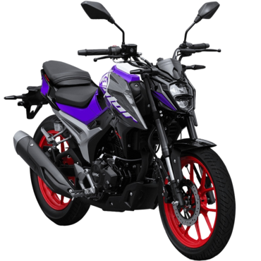 Мотоцикл GPX Raptor RZ200 - миниатюра 2