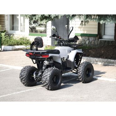 Квадроцикл Rmoto Lion 130 RR - миниатюра 9