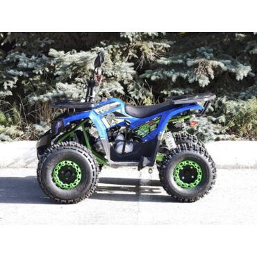 Квадроцикл Rmoto Lion 125 A LITE - миниатюра 10