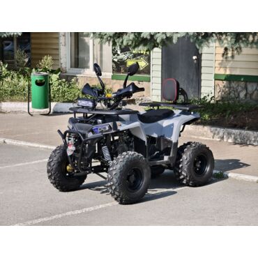 Квадроцикл Rmoto Lion 130 RR - миниатюра 10