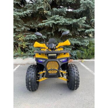 Квадроцикл Rmoto Lion 125 AR - миниатюра 3