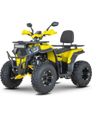Квадроцикл Dazzle ATV200 Комплектация 2