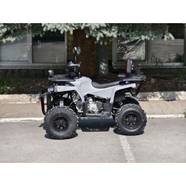 Квадроцикл Rmoto Lion 130 RR - миниатюра 11