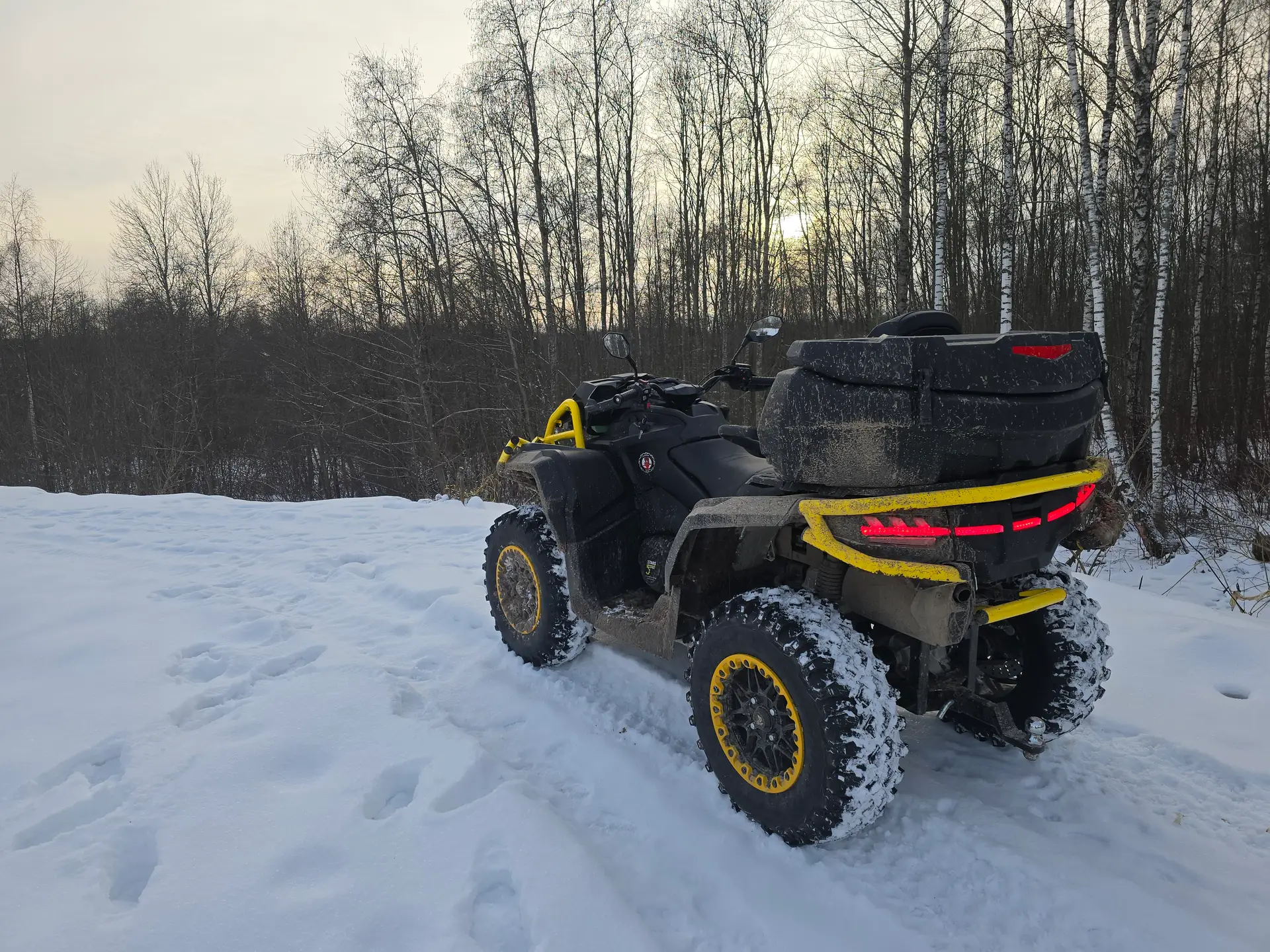 Квадроцикл BRC X Terra 1000 CT - фото 7