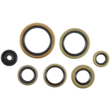 Комплект сальников двигателя KTM 250SX, 250EXC, 300EXC 17 21 / Husqvarna TC250, TE250, TE300 17 21 - миниатюра 1