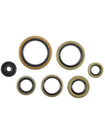 Комплект сальников двигателя KTM 250SX, 250EXC, 300EXC 17 21 / Husqvarna TC250, TE250, TE300 17 21
