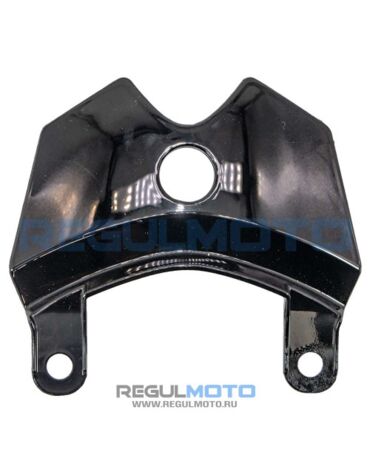 Облицовка задняя, верхняя часть Raptor 250 