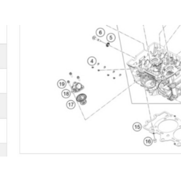 KTM Thermostat BING 205 66 Термостат   790 Duke 22-> / Adv 23-> ( C90035117000 ) - миниатюра 1