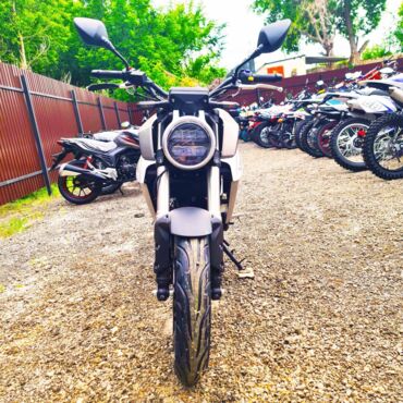 Мотоцикл дорожный Motoland CB 250 (172FMM 5 PR250) - миниатюра 10