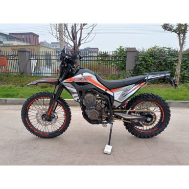 Мотоцикл Regulmoto CR X 300 - миниатюра 14
