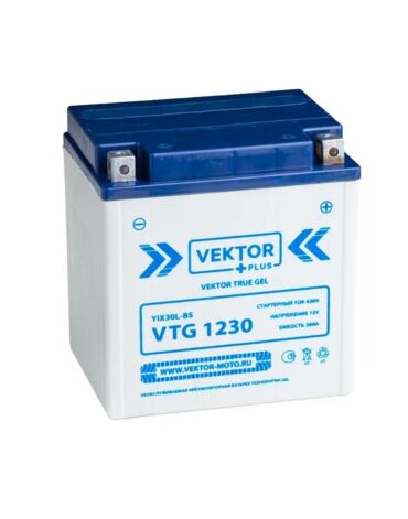 АКБ VEKTOR VTG 1230 YIX30L BS; YB30L B (166x127x175) 30 Ah