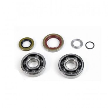 Комплект подшипников коленвала KTM 4T 250 350 13 15 / Husqvarna 4T 250 350 13 15 - миниатюра 1