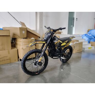 Мотоцикл TMBK Envy 300 PRO - миниатюра 11