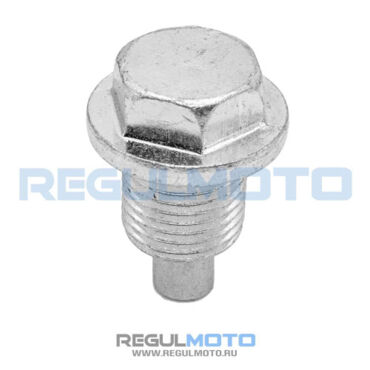 Сливной болт масла М16x1,5 ZS177MM (NC250), с магнитом  - миниатюра 1