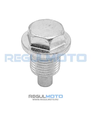 Сливной болт масла М16x1,5 ZS177MM (NC250), с магнитом 