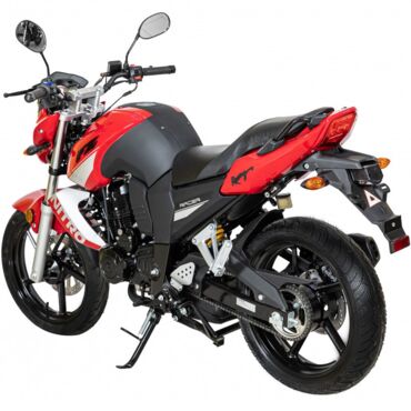 Мотоцикл Racer RC250CK Nitro - миниатюра 6
