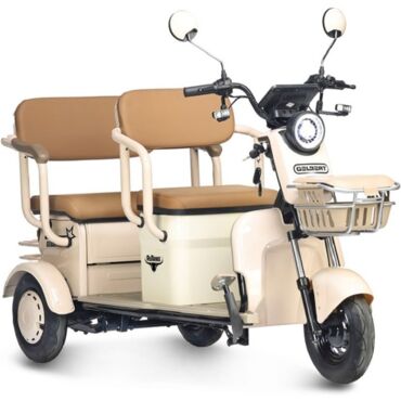 Электротрицикл Rutrike Gelbert Atlas 48V 60V 600Вт - миниатюра 6