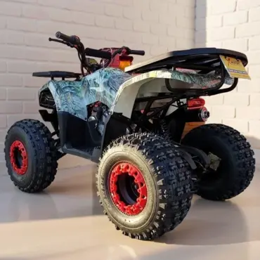Квадроцикл WELS Thunder E2 - миниатюра 10