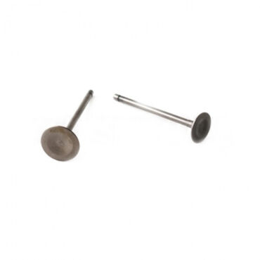 Клапаны (компл. 2шт) 4T двиг. CG150 стандартные d=25 30 SM PARTS - миниатюра 1