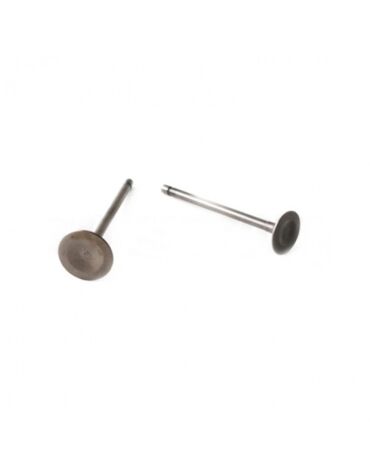 Клапаны (компл. 2шт) 4T двиг. CG150 стандартные d=25 30 SM PARTS
