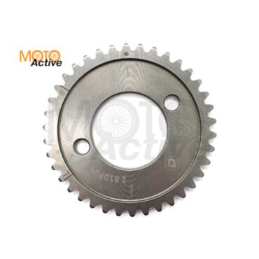 Звезда ГРМ CBS250 300 T Leopard, ZS174MM - миниатюра 1
