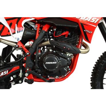 Мотоцикл Progasi SUPER MAX 250RR (CB250 F) с ПТС - миниатюра 4