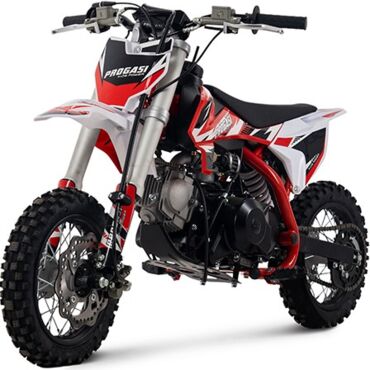 Питбайк Progasi KIDS POWER 110  (10 10) - миниатюра 4