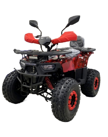 Квадроцикл WELS THUNDER E2X
