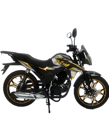 Мотоцикл ROLIZ MAJOR ZS163FML 200 сс  ПТС
