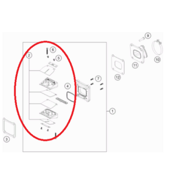 Лепестки клапана TC TE125 250 300(с20) original - миниатюра 1