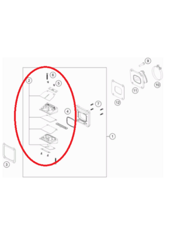 Лепестки клапана TC TE125 250 300(с20) original
