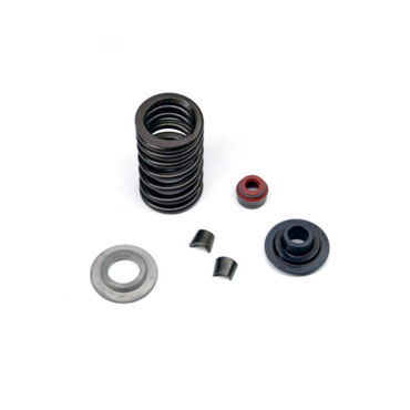 Комплект пружины впускного клапана KTM 350SX F 13 15 / Husqvarna FC350 14 15 - миниатюра 1