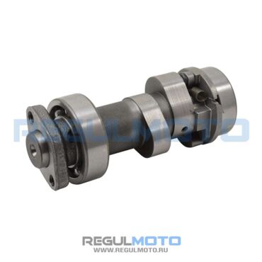 Распредвал ГРМ 172FMM, PR250, 175FMN 2, PR300 - миниатюра 1